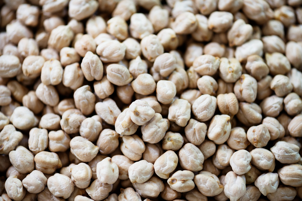 White Chickpeas - Premium Export Grade
